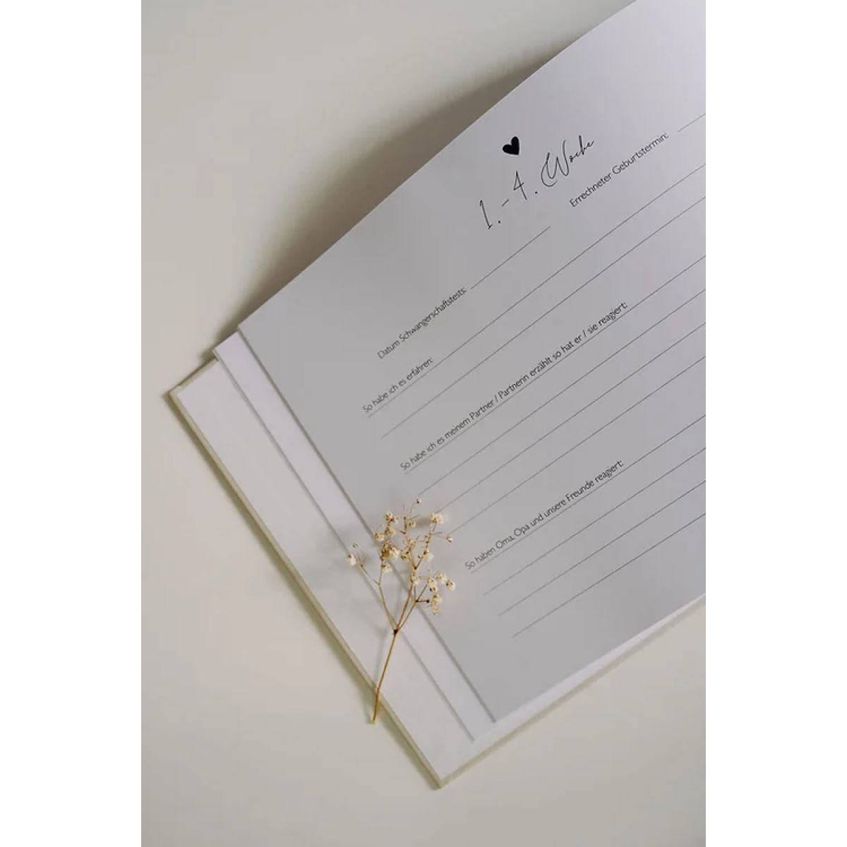 Schwangerschaftstagebuch "Liebe im Bauch" – Bild 3